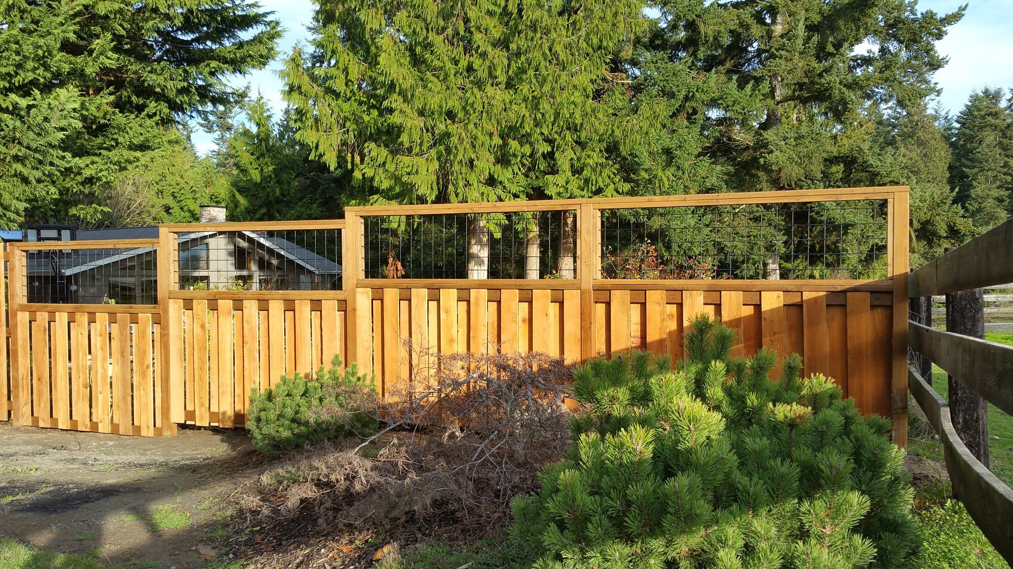 Landscaping Services Image 19