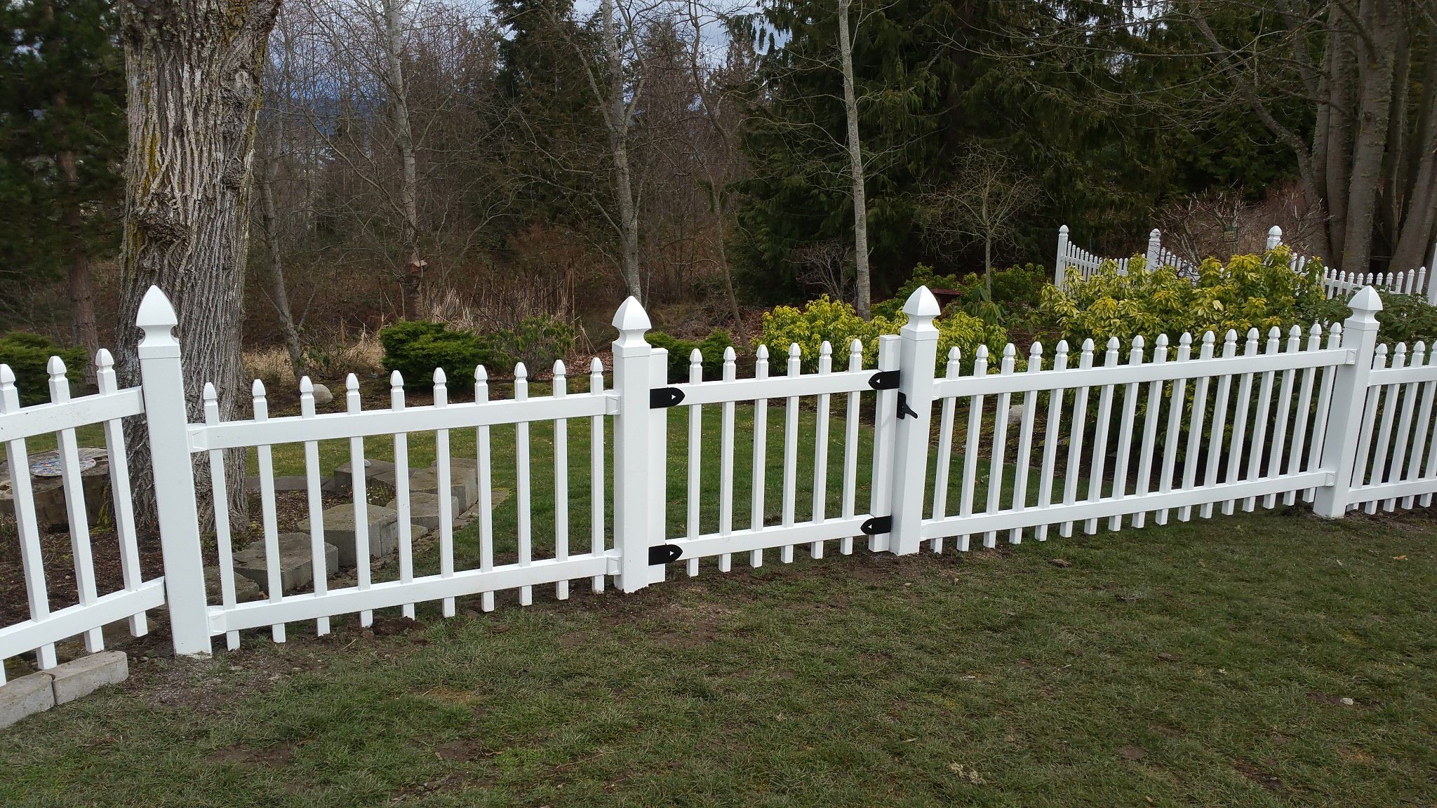 Landscaping Services Image 40