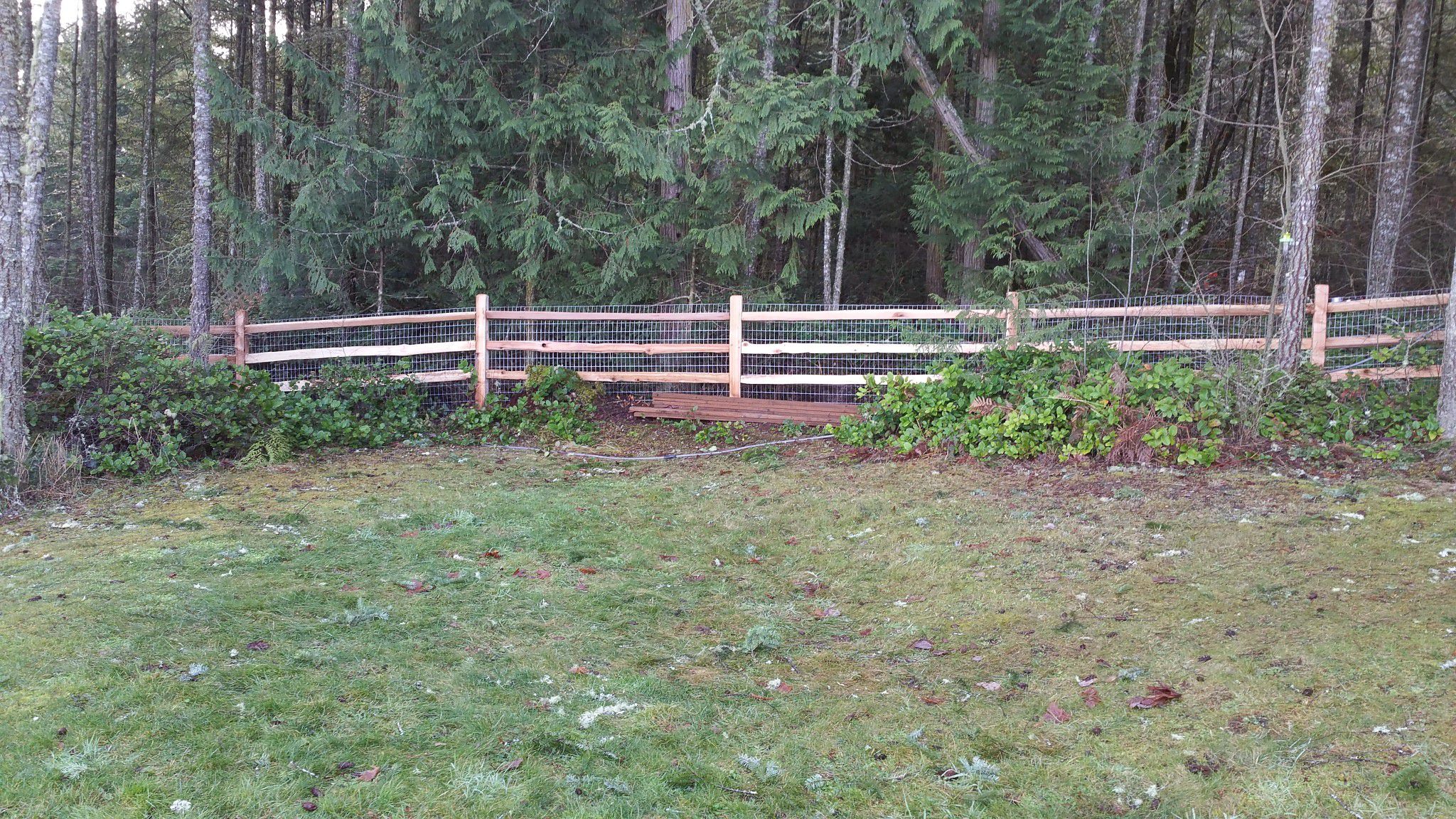 Landscaping Services Image 57