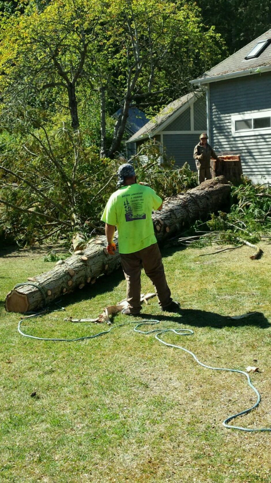 Landscaping Services Image 65