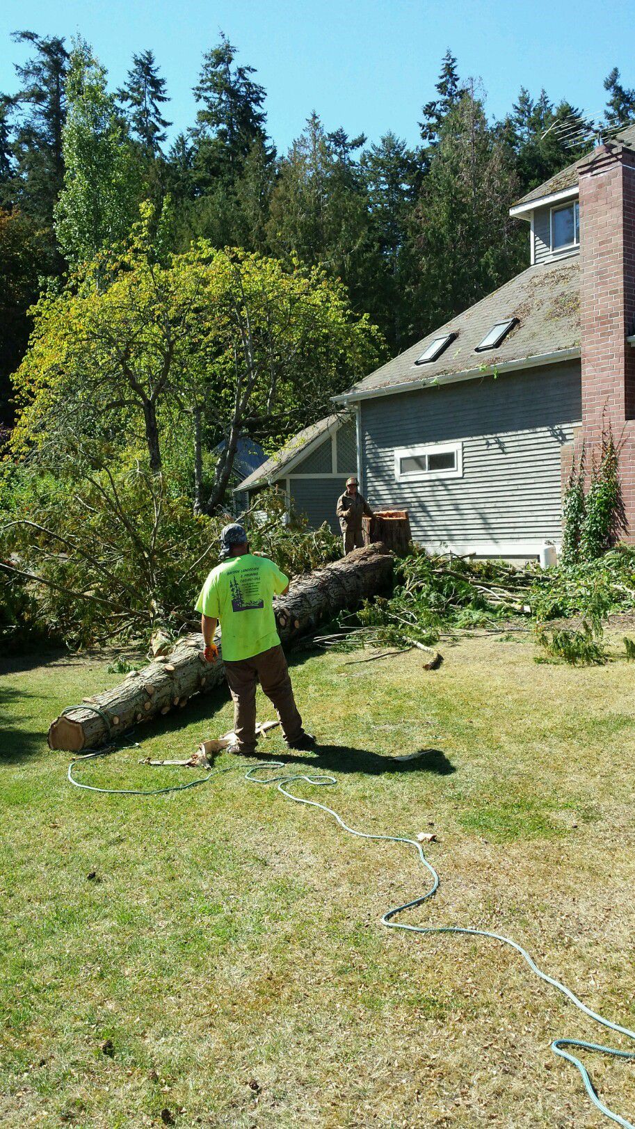 Landscaping Services Image 66