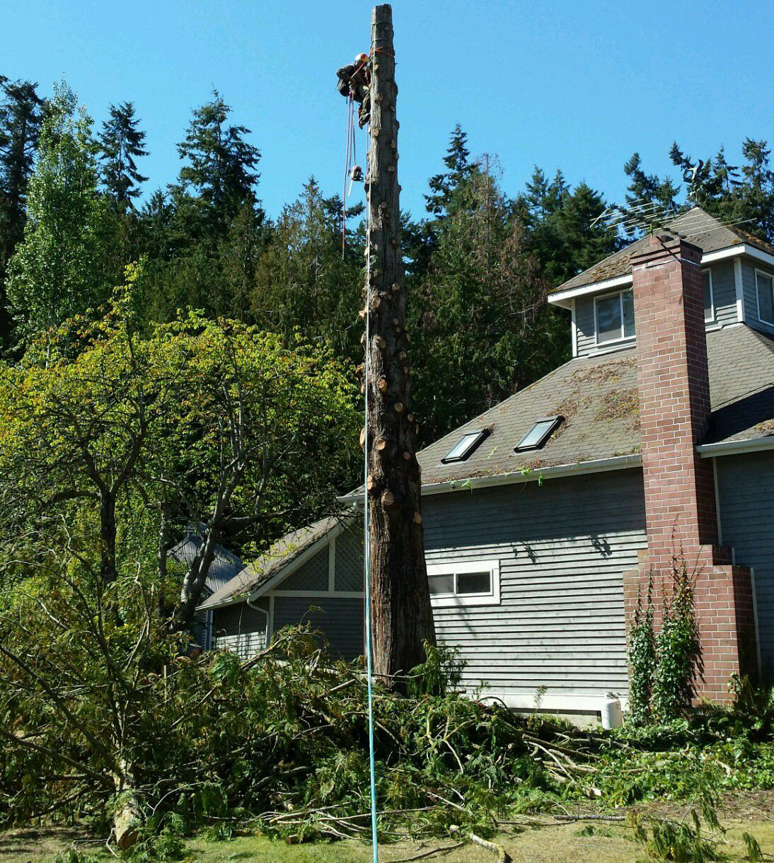 Landscaping Services Image 7